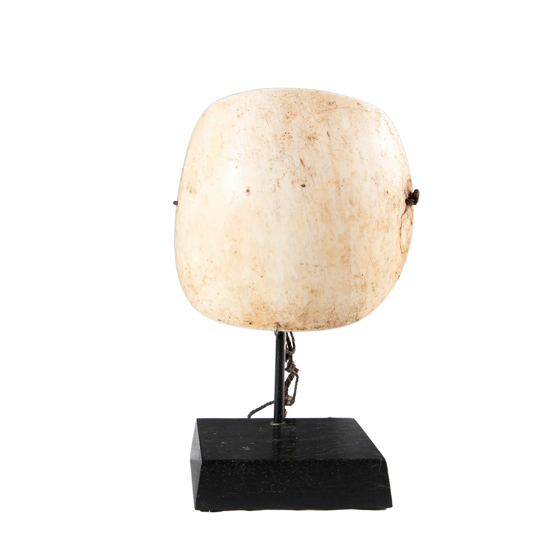 Two Oceanic Tribal Shell Codpieces displayed on a black stand showcasing traditional craftsmanship.