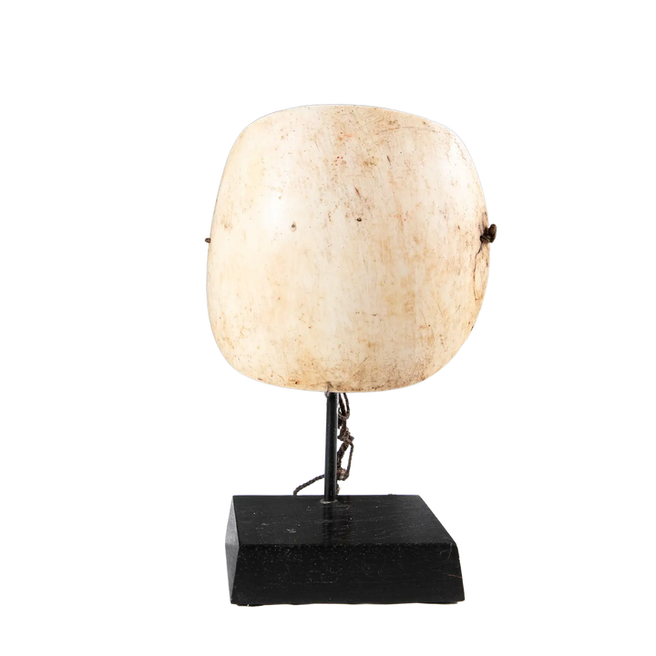 Two Oceanic Tribal Shell Codpieces displayed on a black stand showcasing traditional craftsmanship.