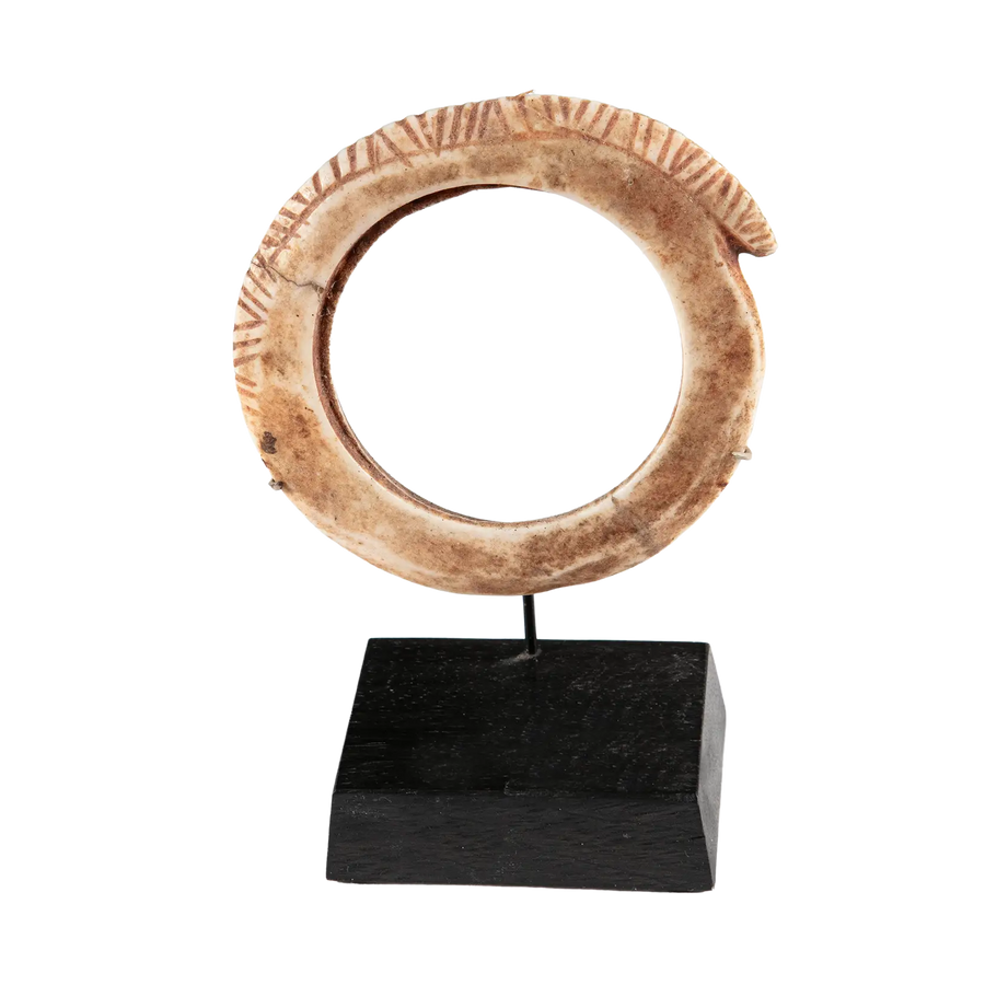 Oceanic Shell Bangle 19th century tribal shell bangle with incised border decoration displayed on black stand