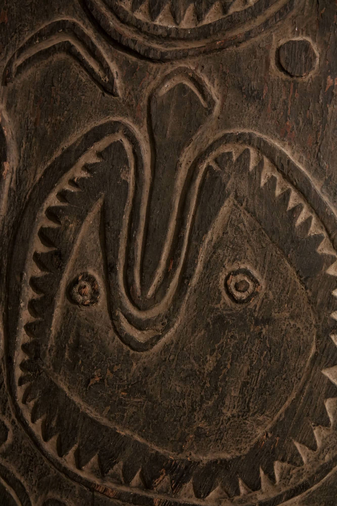 War Shield, Bahinemo, Middle April River, Upper Sepik River, East Sepik Province, Papua New Guinea