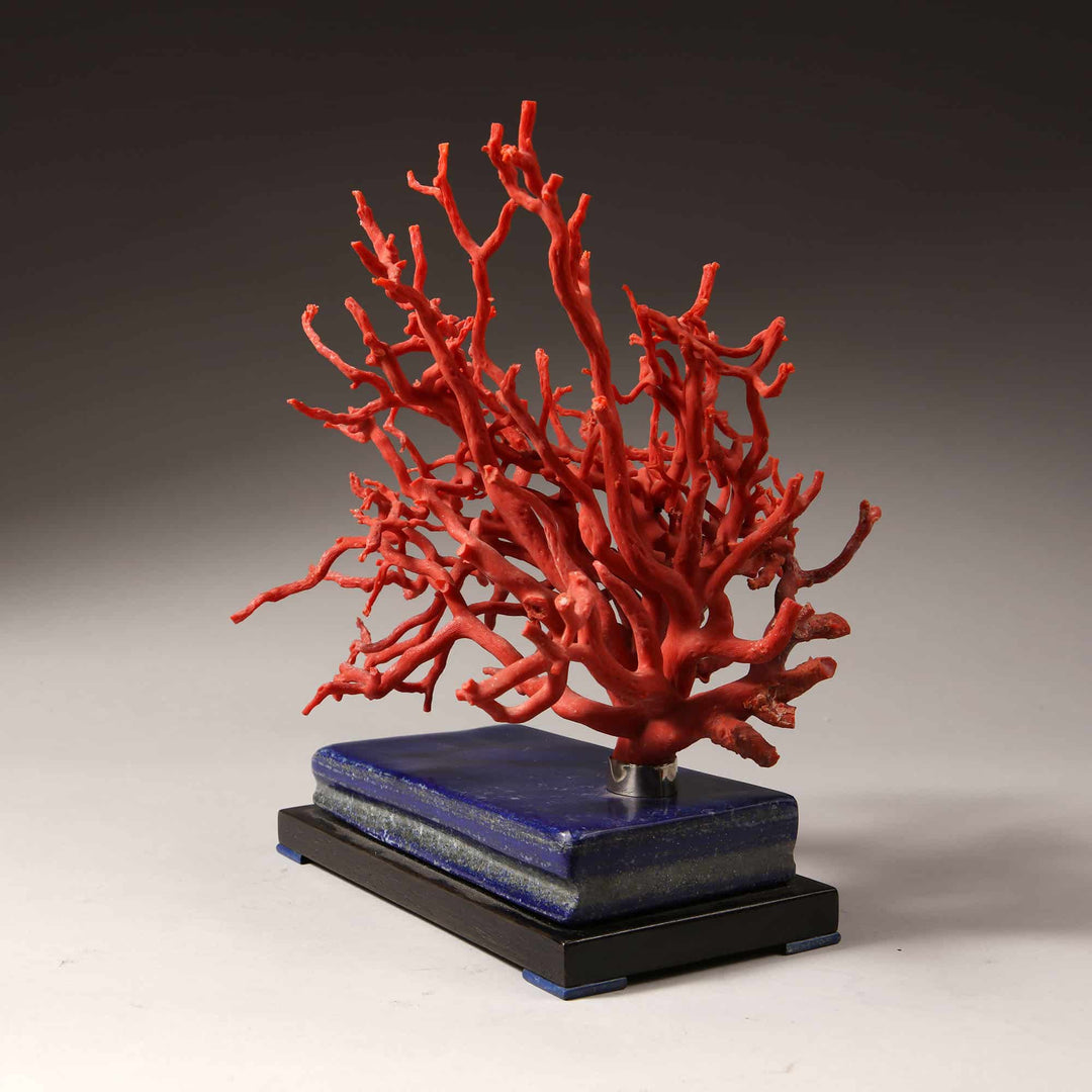 Lapis Lazuli Mounted Precious Coral Specimen
