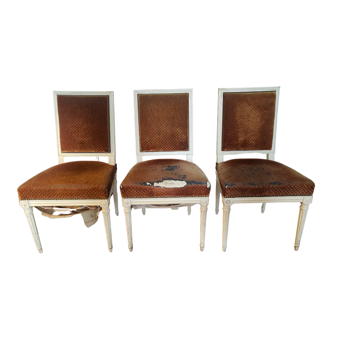 Set of three Louis XVI side chairs by Nicholas Wells Antiques with distressed original horsehair upholstery