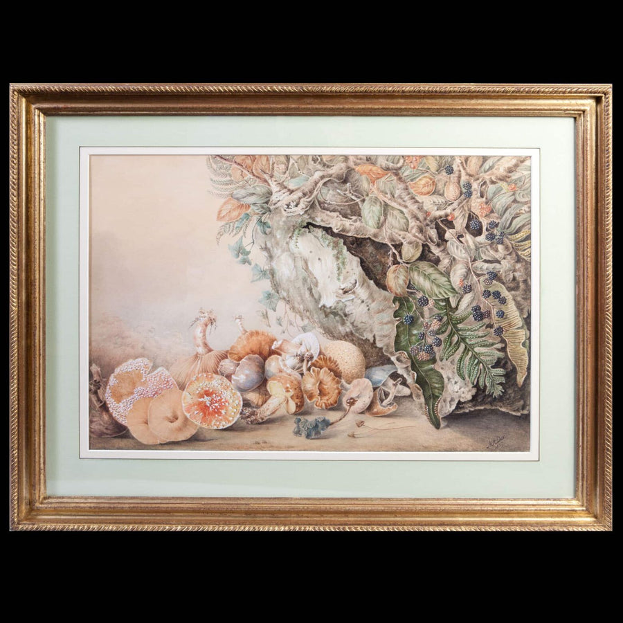 Victorian watercolour of autumnal mushrooms and blackberries by M. A. Dix circa 1859 from Collection TH20