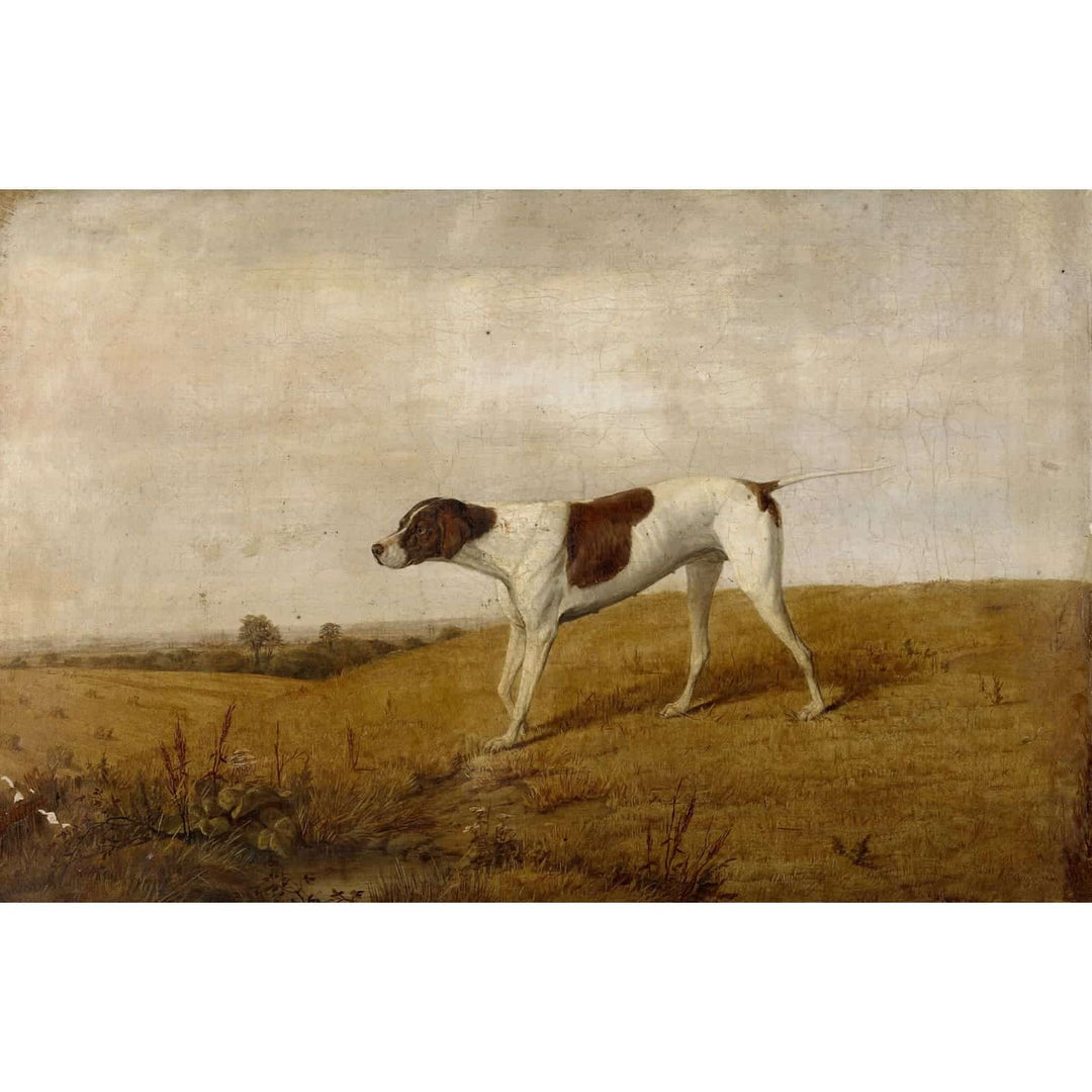 Pointer, Oil On Canvas