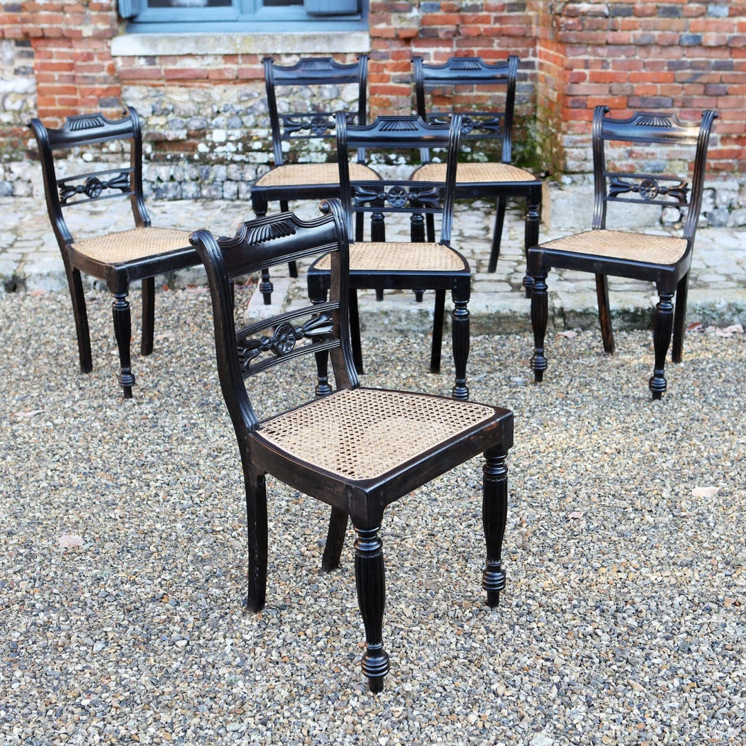 Six 19th century Anglo Indian ebony side chairs with caned seats by Collection EE30, elegant Regency style seating.