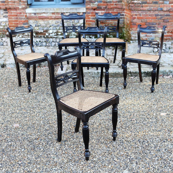 Six 19th century Anglo Indian ebony side chairs with caned seats by Collection EE30, elegant Regency style seating.