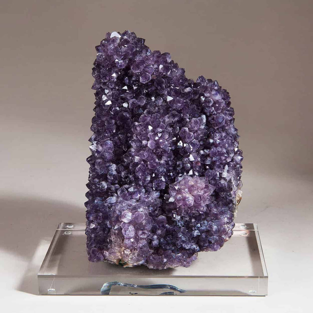 Amethyst Cactus Cluster / Spirit Quartz