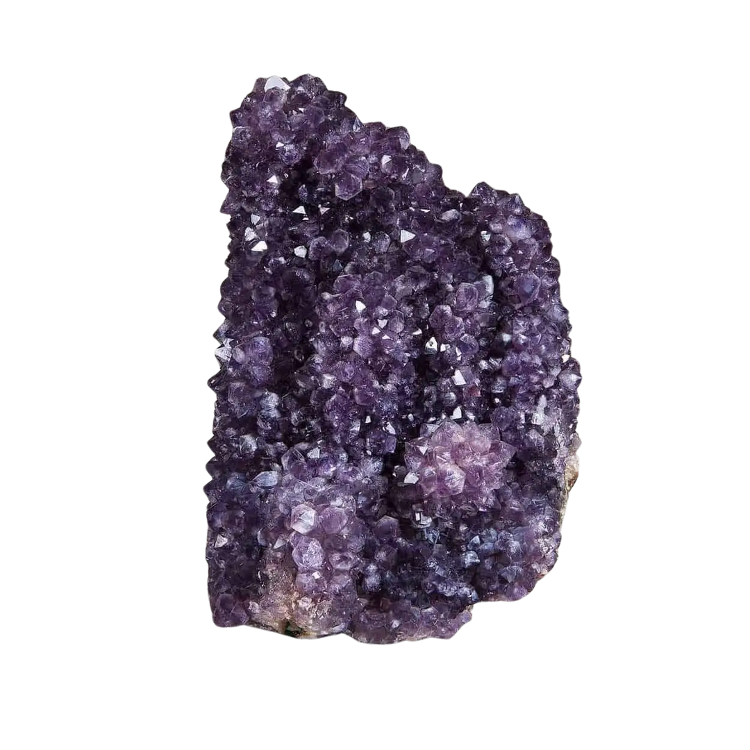 Amethyst Cactus Cluster / Spirit Quartz