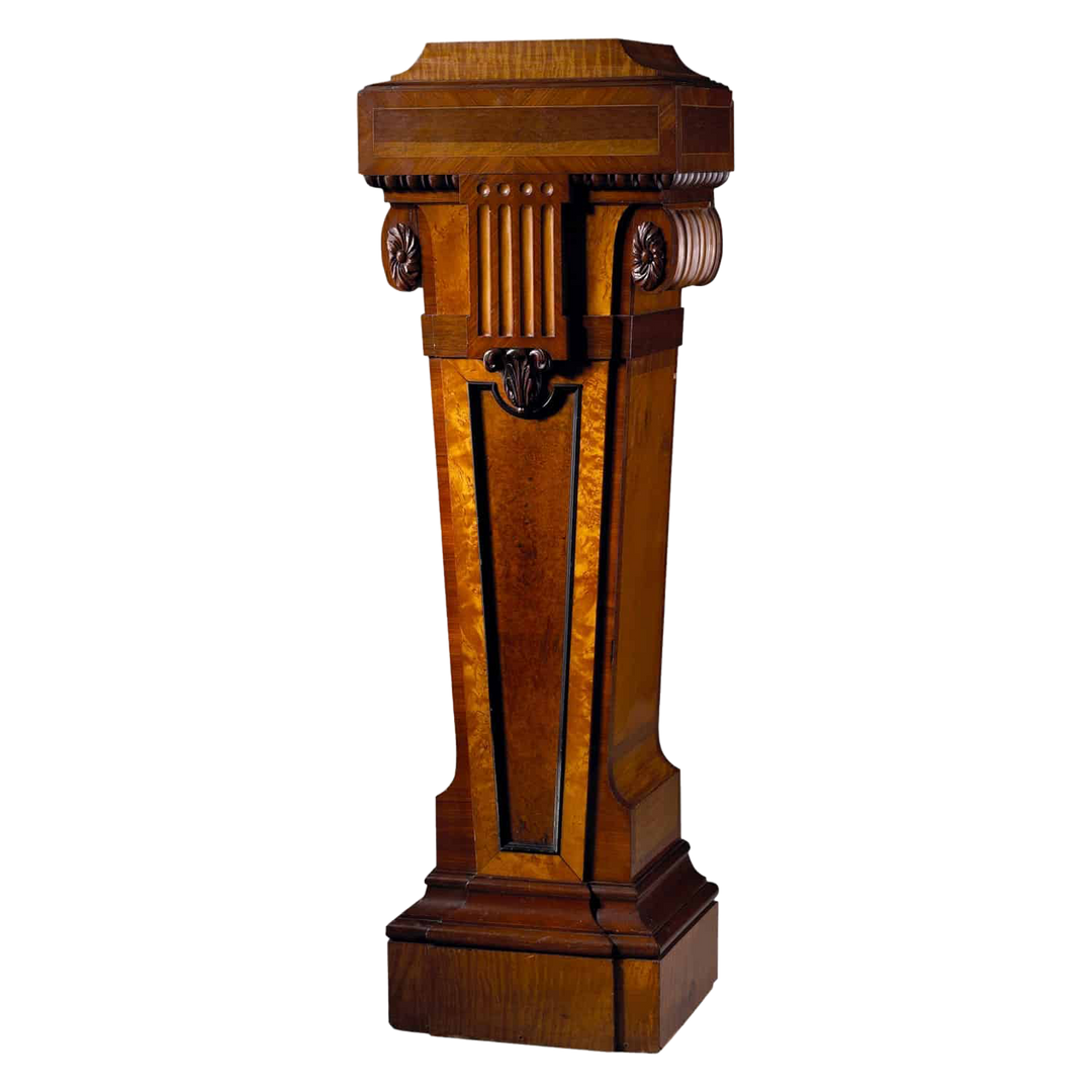 Burr Amboyna and Satinwood Pedestal | Wright & Mansfield
