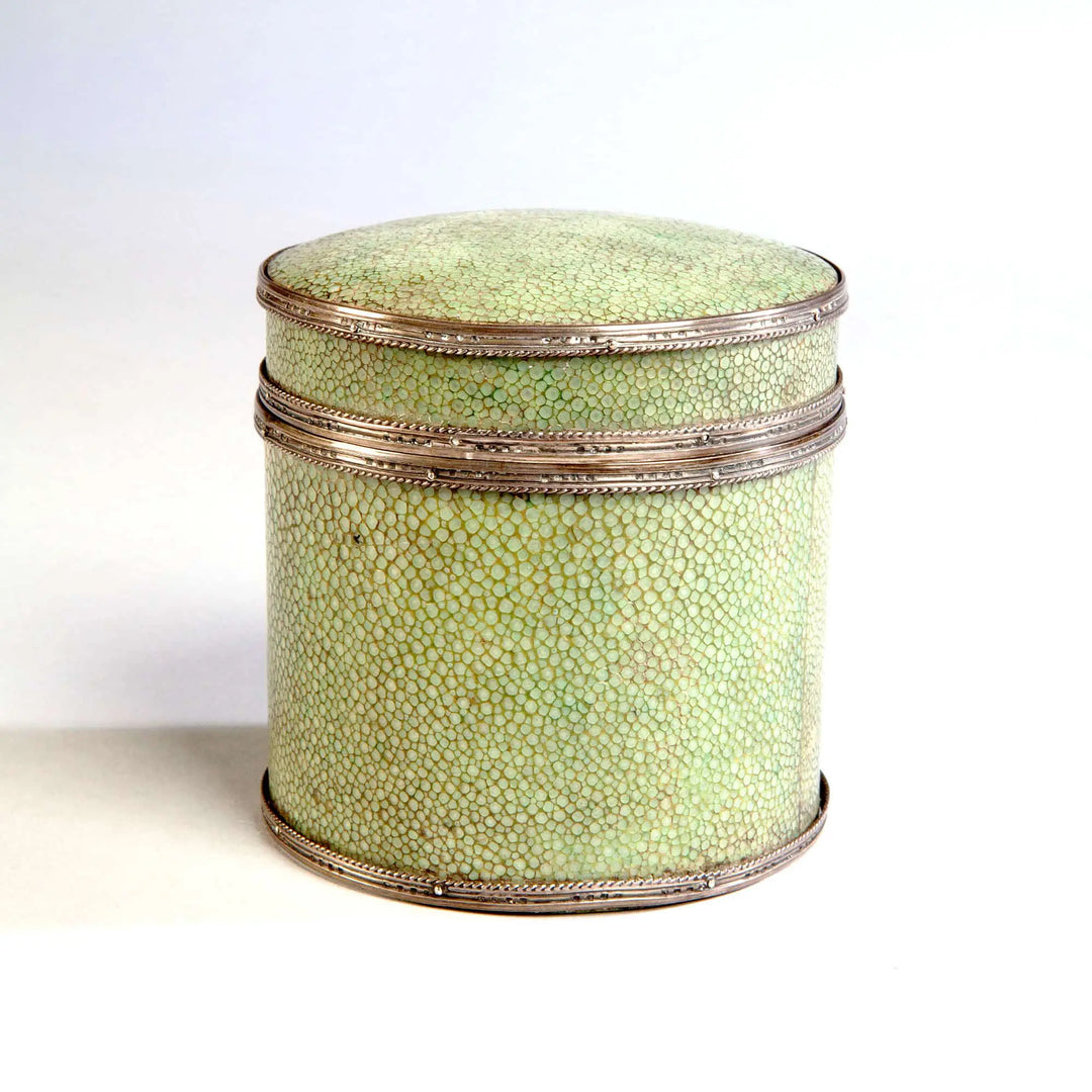 A Rare And Very Fine Shagreen And Silver Box By J P Cooper