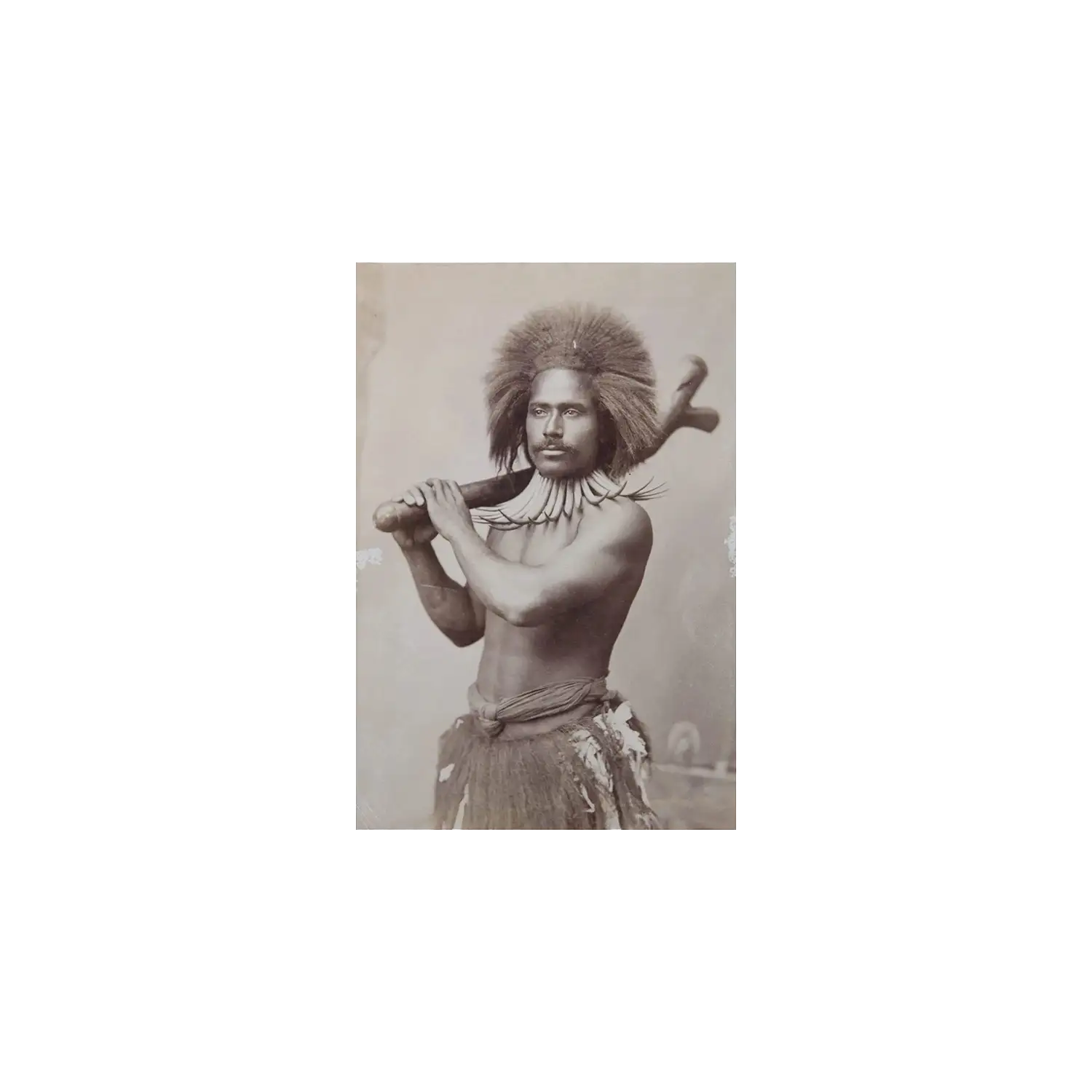 Albumen Print