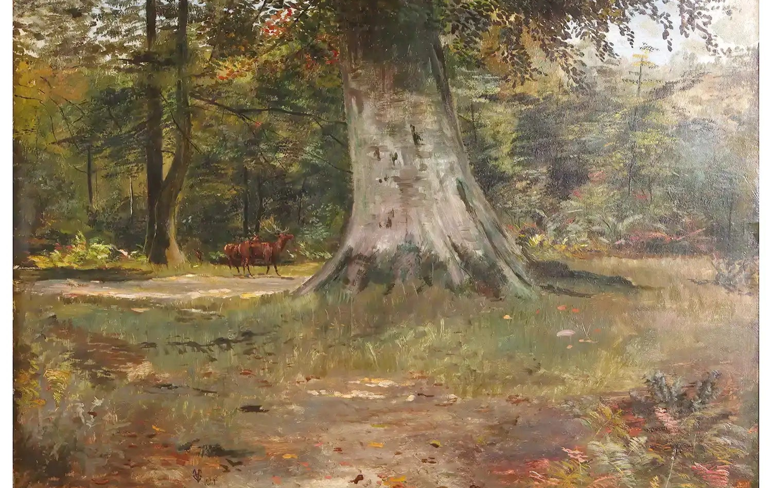 Beech Wood in Antique Furniture Collections