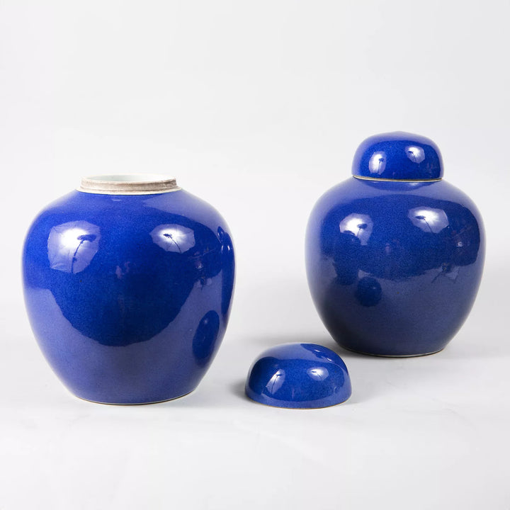 Pair of Chinese Powder Blue Vases
