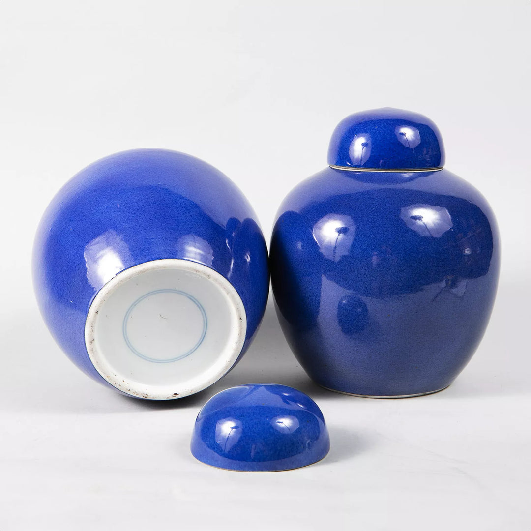 Pair of Chinese Powder Blue Vases