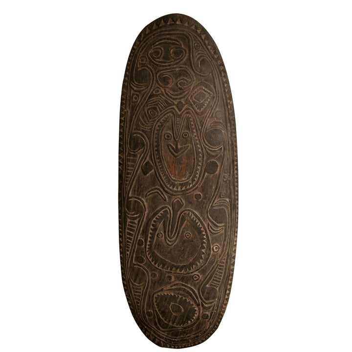 War Shield, Bahinemo, Middle April River, Upper Sepik River, East Sepik Province, Papua New Guinea