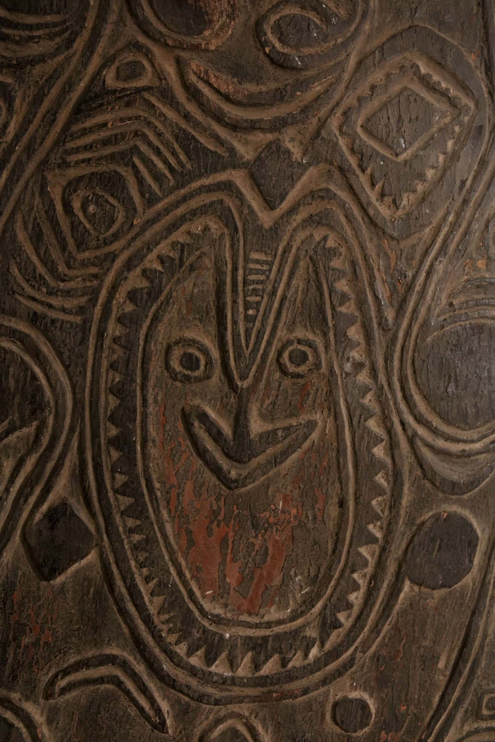 War Shield, Bahinemo, Middle April River, Upper Sepik River, East Sepik Province, Papua New Guinea