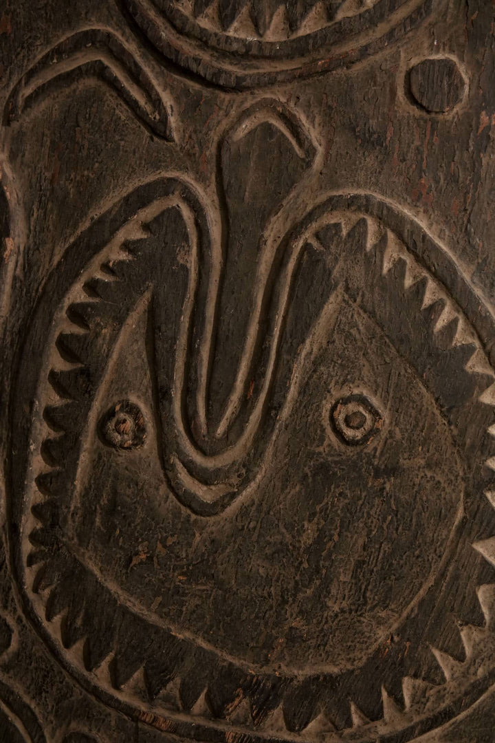 War Shield, Bahinemo, Middle April River, Upper Sepik River, East Sepik Province, Papua New Guinea