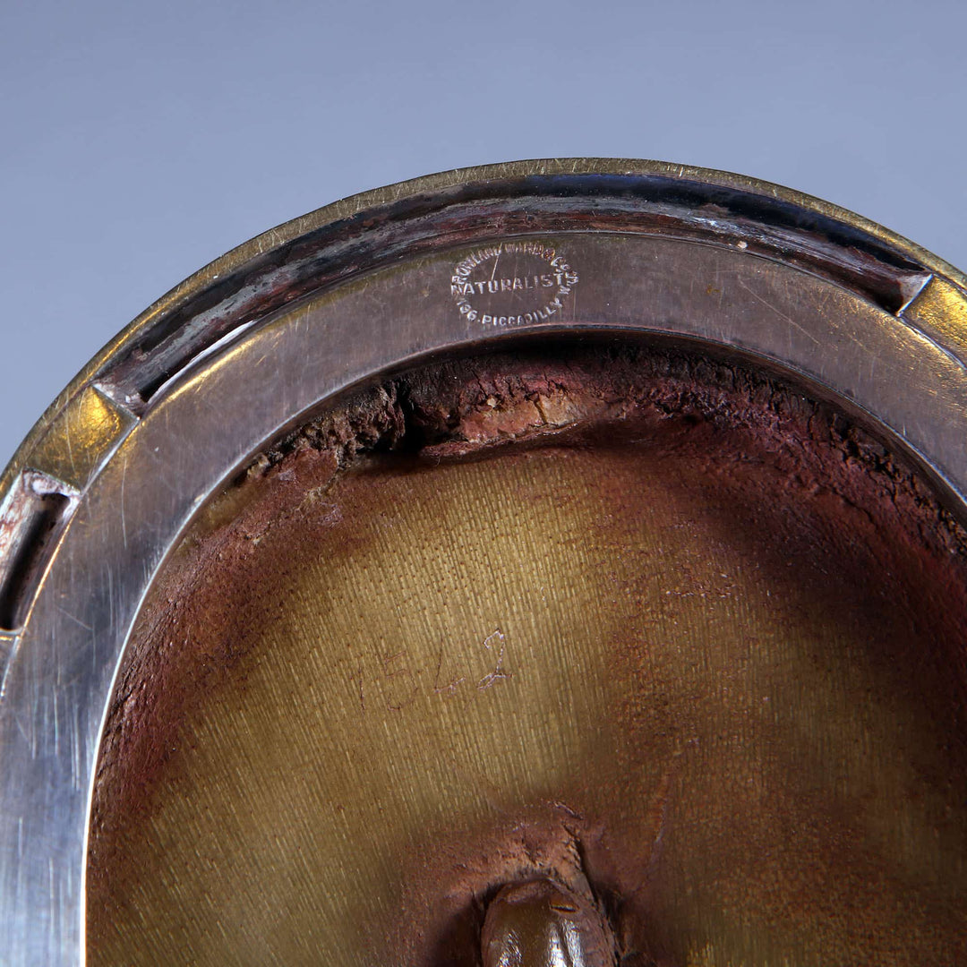 Late 19th Century Horse Hoof Inkwell by Naturalists Piccadilly
