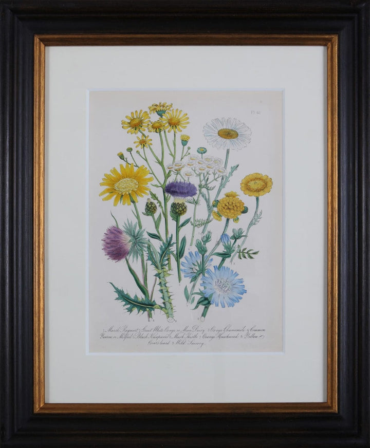 Jane Loudon