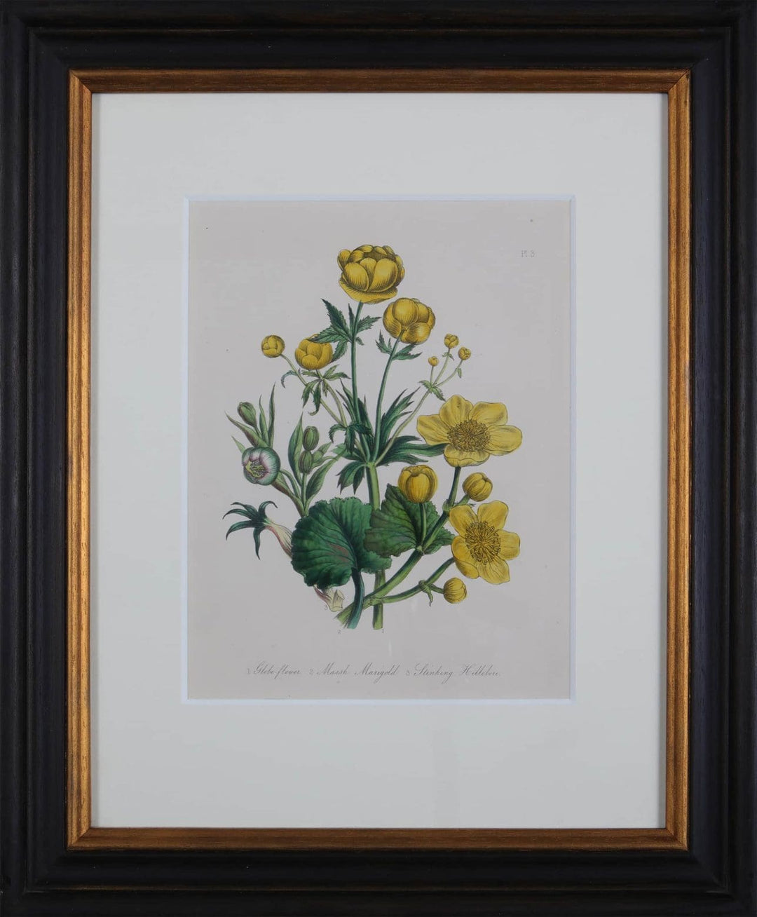 Jane Loudon