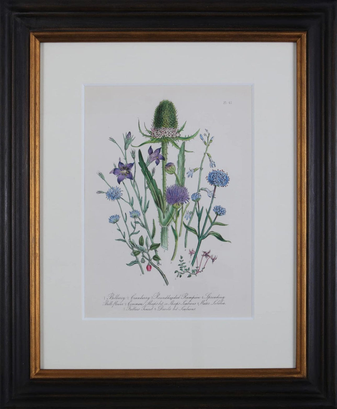 Jane Loudon