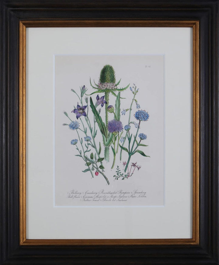 Jane Loudon