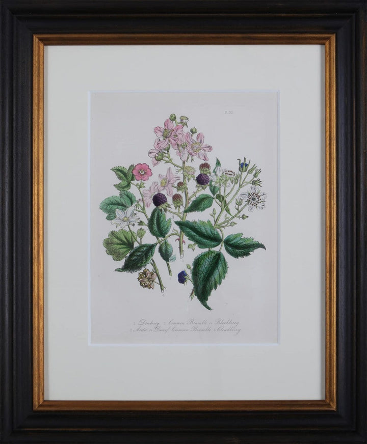 Jane Loudon