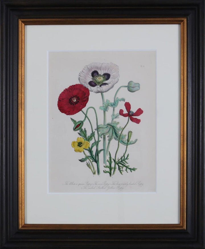Jane Loudon