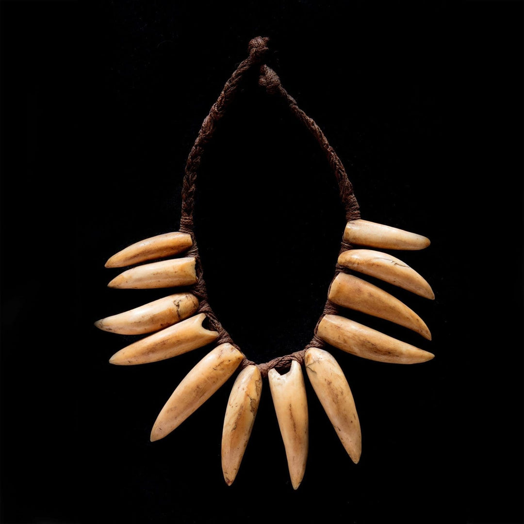 Sisi ||| Fijian Tabua necklace