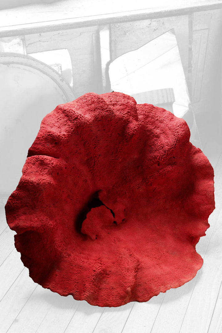 Magnificent Red Coral Specimen