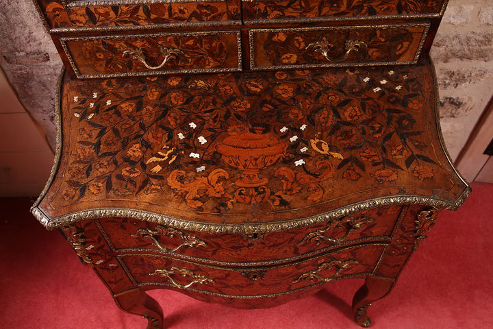Louis XV Marquetry Vitrine on Chest with floral marquetry, glazed doors, serpentine drawers, and cabriol legs, Dutch circa 1730