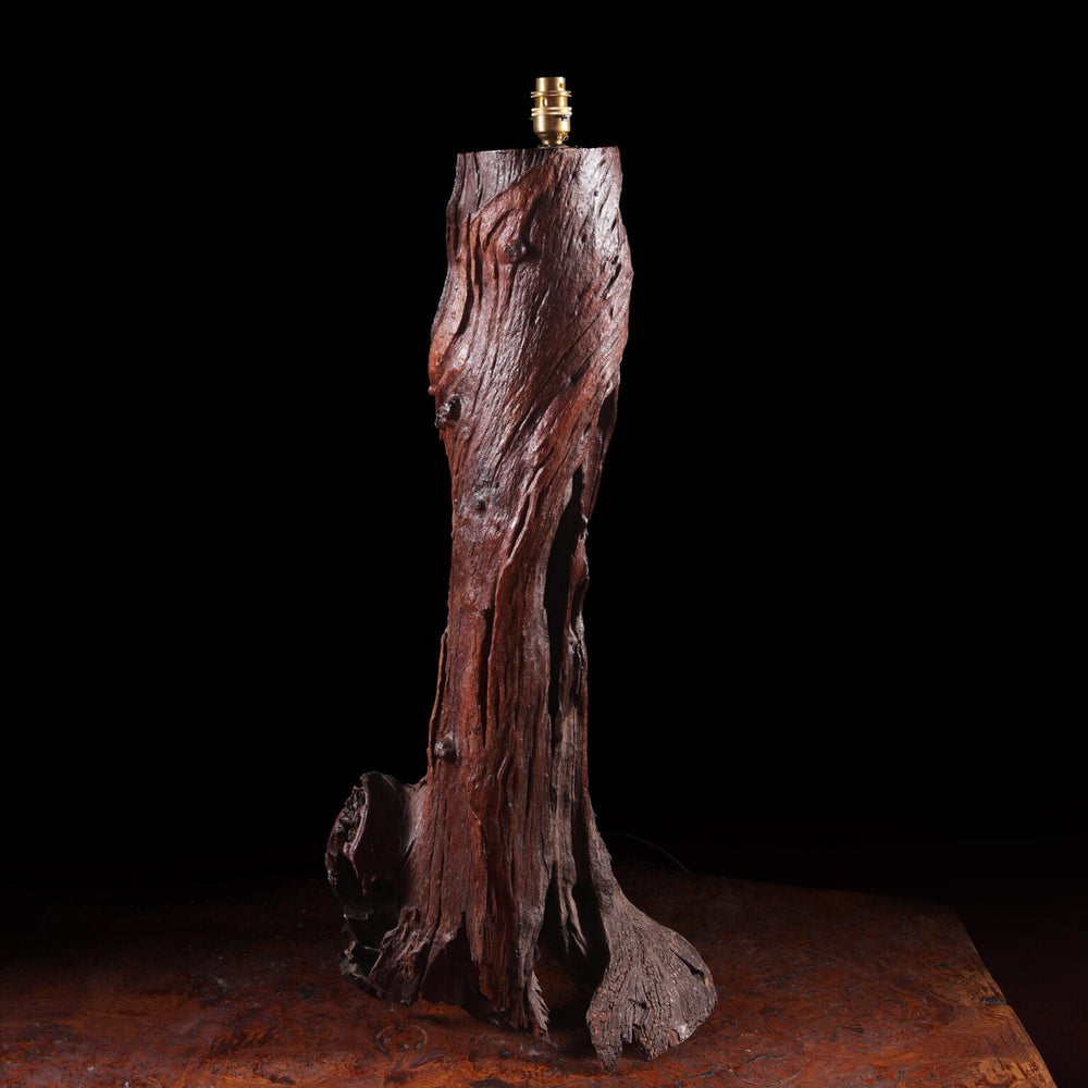 Mid Century Vine Wood Table Lamp with weathered vine trunk base showcasing rich wood grain and patina, no shade shown.