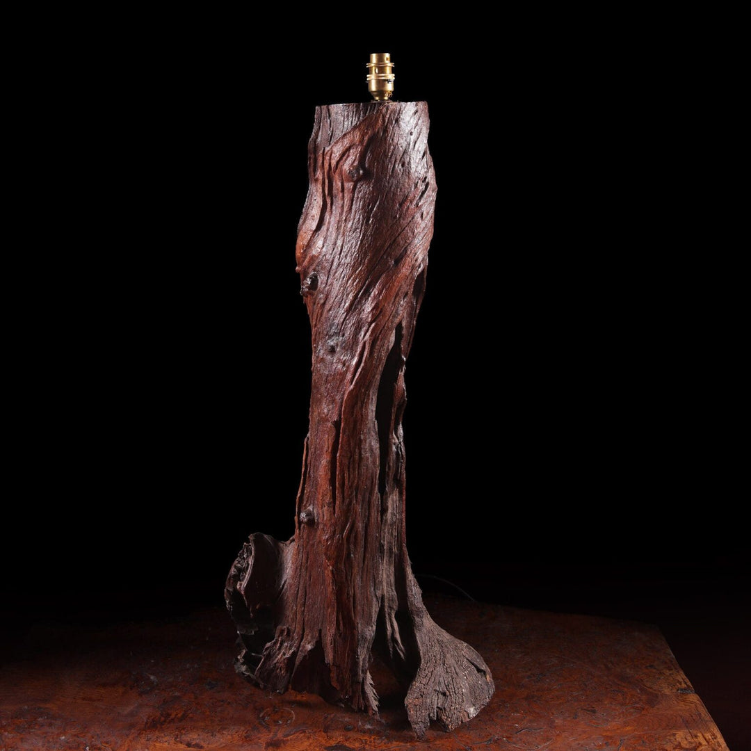 Mid Century Vine Wood Table Lamp with weathered vine trunk base showcasing rich wood grain and patina, no shade shown.
