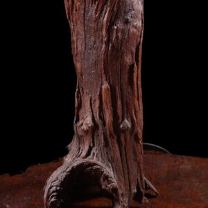 Mid Century Vine Wood Table Lamp with weathered vine trunk base showing flowing grain and rich patina detail.
