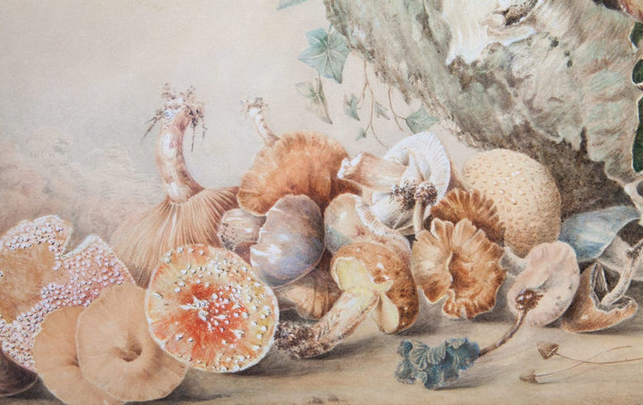 A victorian watercolour depicting autumnal fare