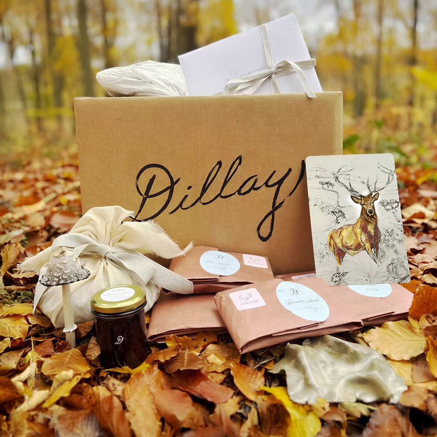 Dillay Woodland venison box by Nicholas Wells Antiques displayed outdoors on fallen autumn leaves with rustic packaging and deer illustration.
