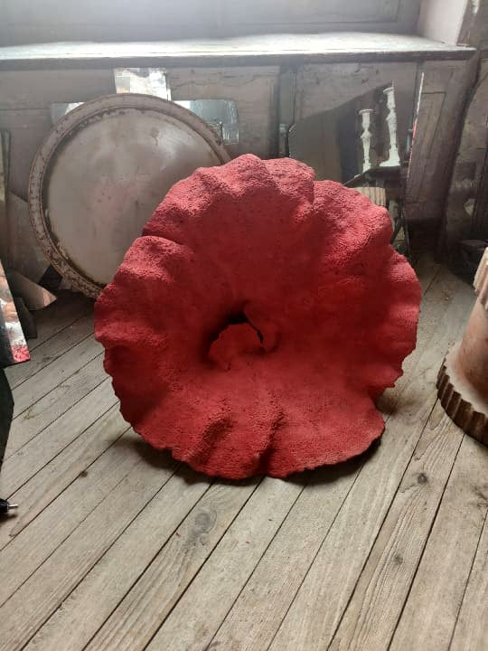 Magnificent Red Coral Specimen