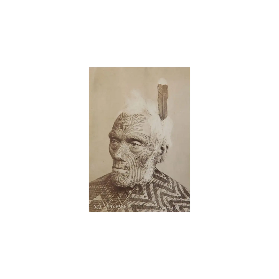 Portrait Photograph of Maori Anehana