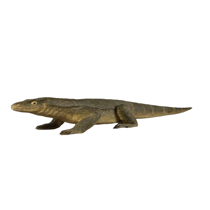 CARVED WOOD FIGURE OF A KOMODO DRAGON, INDONESIA, 20TH CENTURY