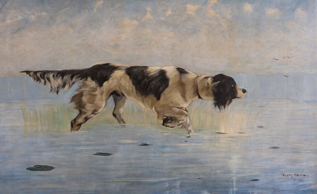 Water Spaniel | Eilert Mehl (1865 – 1941)