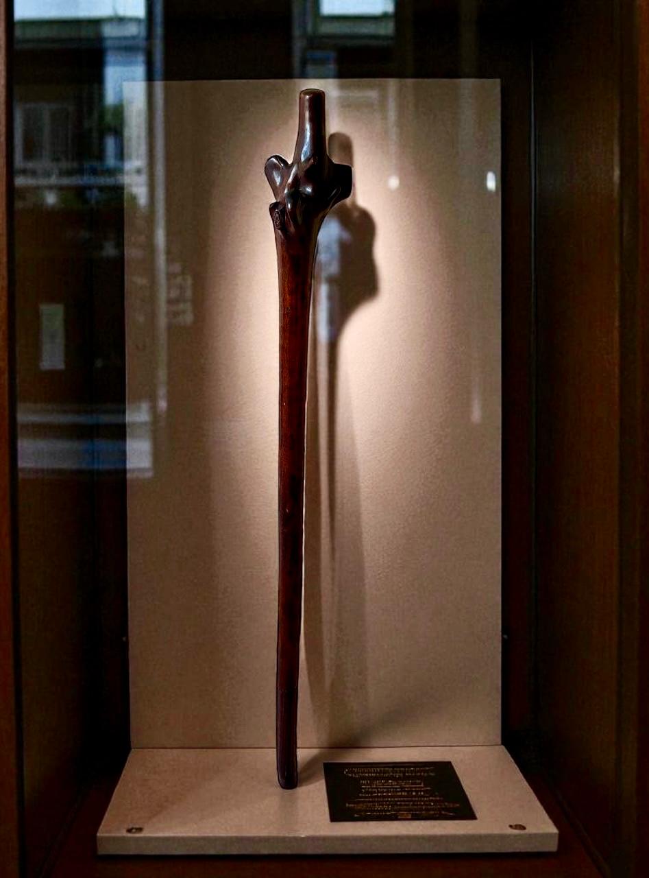 An Impressive 19th-Century Fijian Rootstock War Club