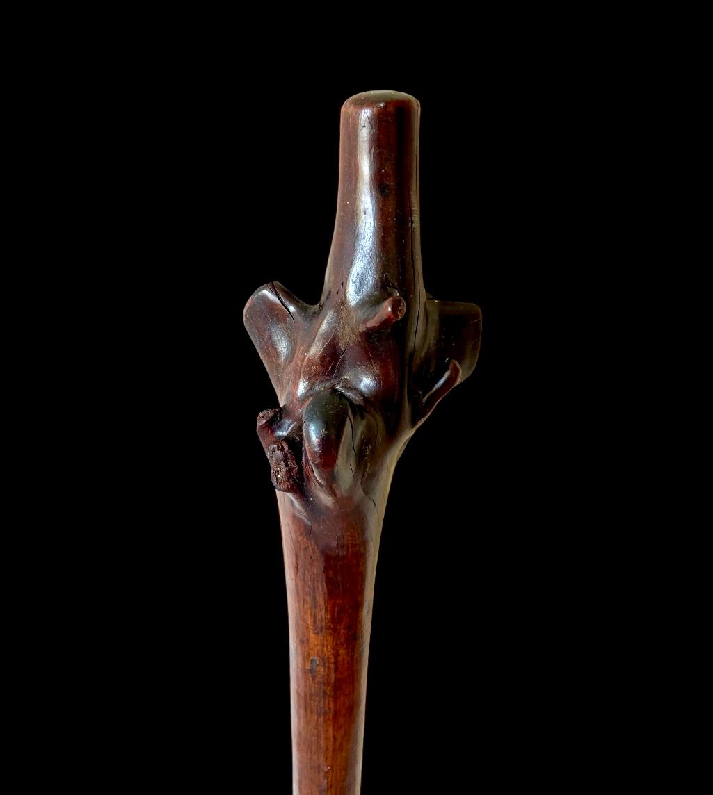 An Impressive 19th-Century Fijian Rootstock War Club